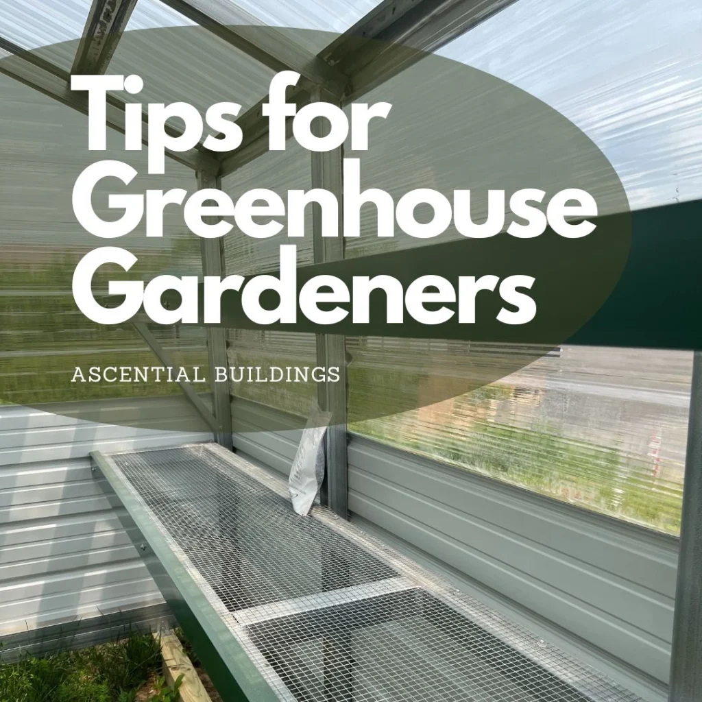 Ascential Buildings - Tips for Greenhouse Gardeners